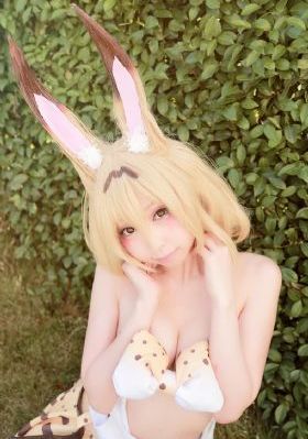 窈窕淑女免费观看完整版