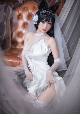 无节操摄影部在线播放